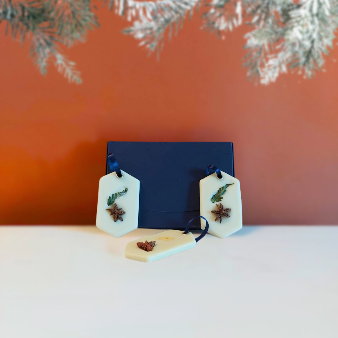 Coffret parfums solides - zeste d'agrumes