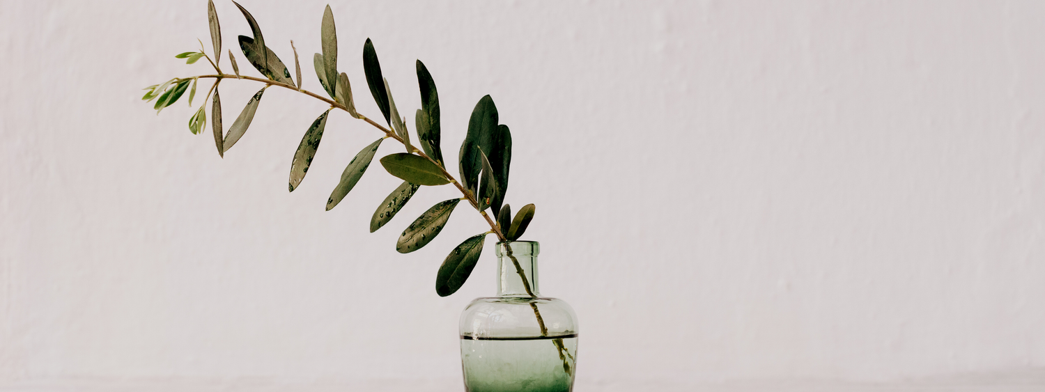 formulation ingrédients naturels naturalité sain 100% d'origine naturel