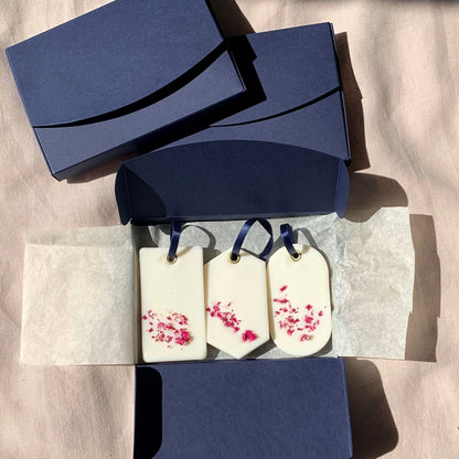 Coffret Parfums d'Intérieur Solides - x3